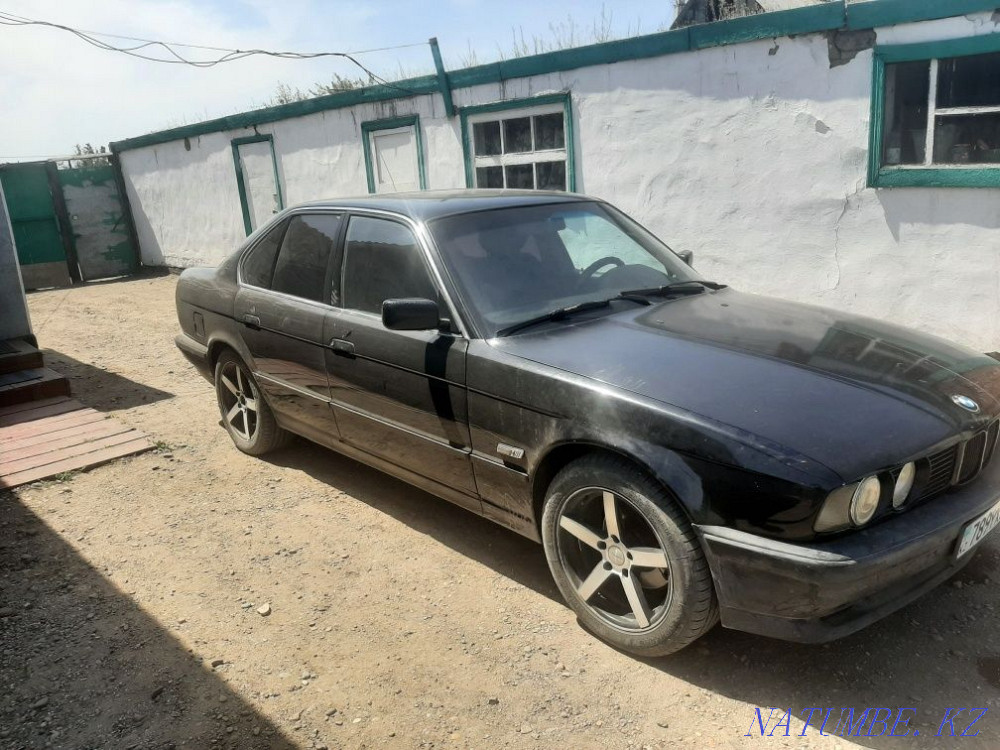    year Semey - photo 4