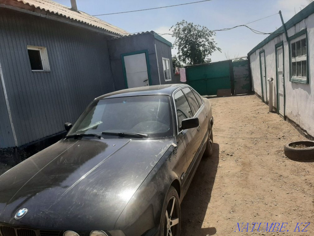    year Semey - photo 3