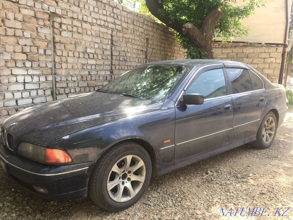    year Kokshetau - photo 2