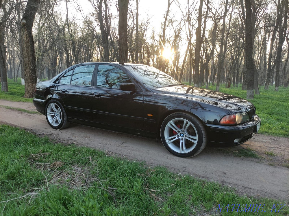    year Талас - photo 2