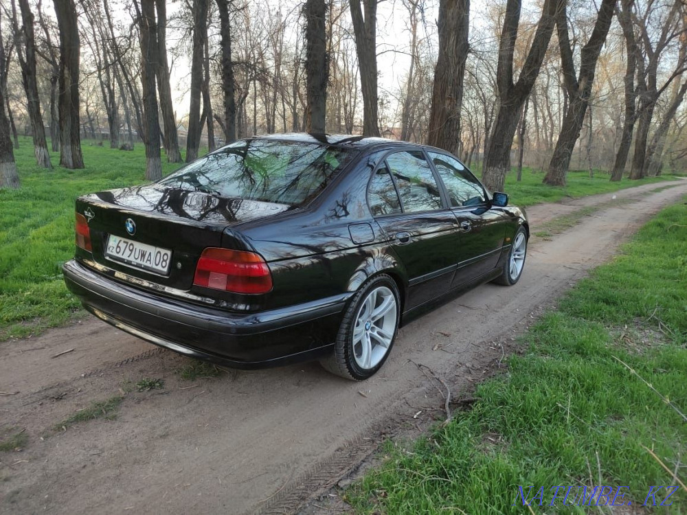    year Талас - photo 7