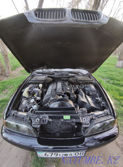    year Талас - photo 5