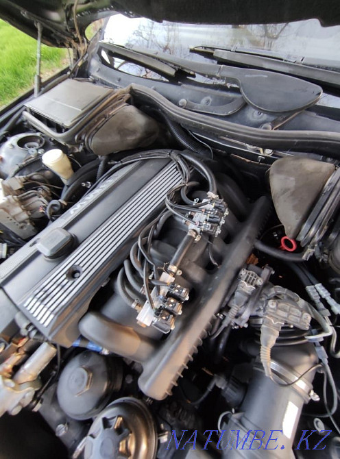    year Талас - photo 3