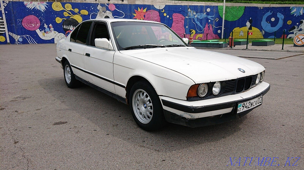    year Almaty - photo 6