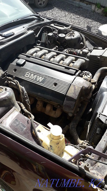    жыл Нура - изображение 6