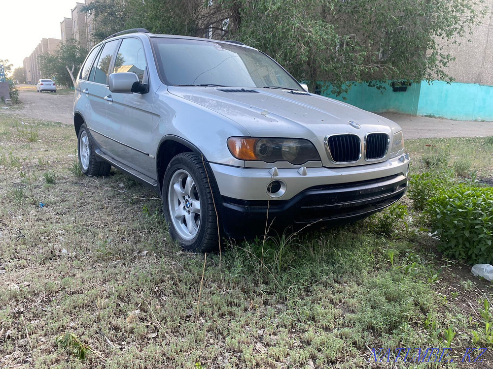    year Semey - photo 4