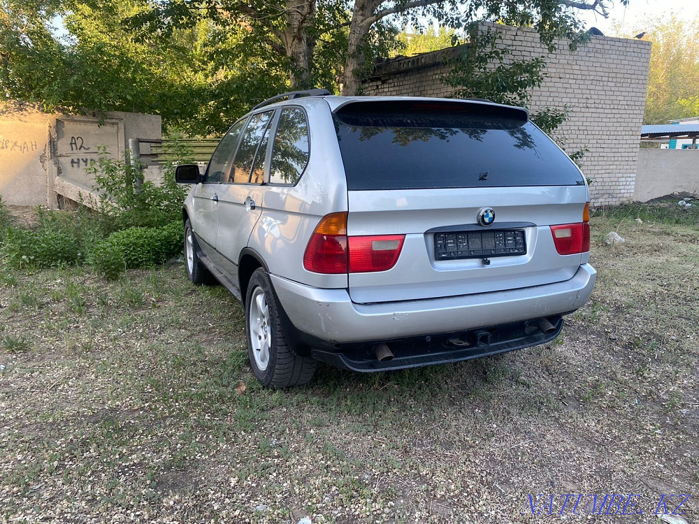    year Semey - photo 3