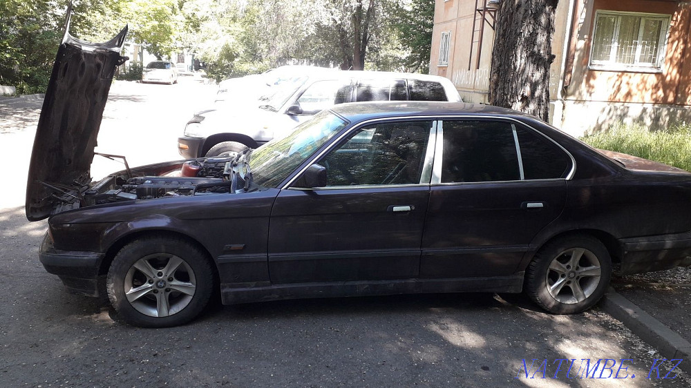    year Ust-Kamenogorsk - photo 1