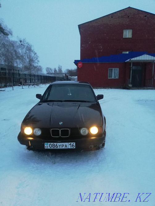    year Солнечное - photo 6