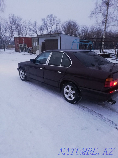    year Солнечное - photo 1