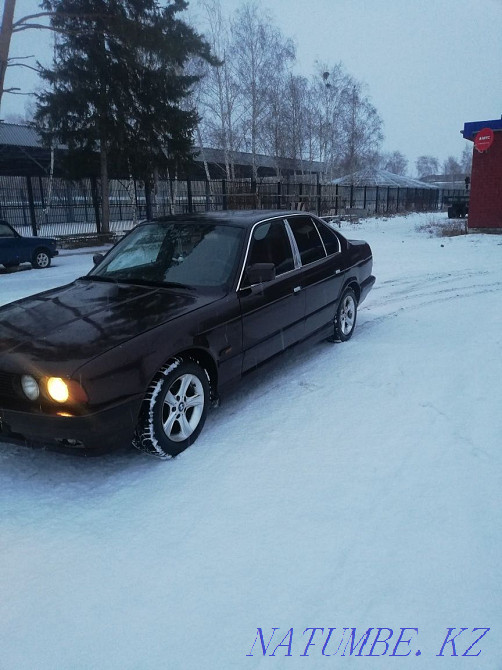    year Солнечное - photo 5