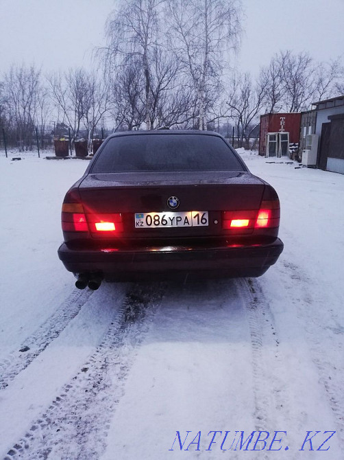    year Солнечное - photo 3