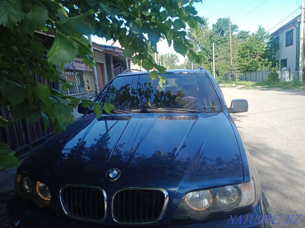    жыл  Талғар  - изображение 2