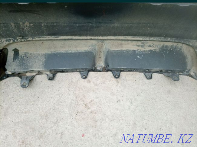    year Almaty - photo 8