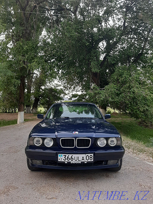    года  - изображение 5