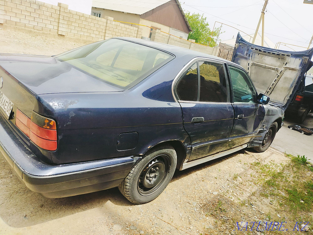    года Болтирик шешен - изображение 2