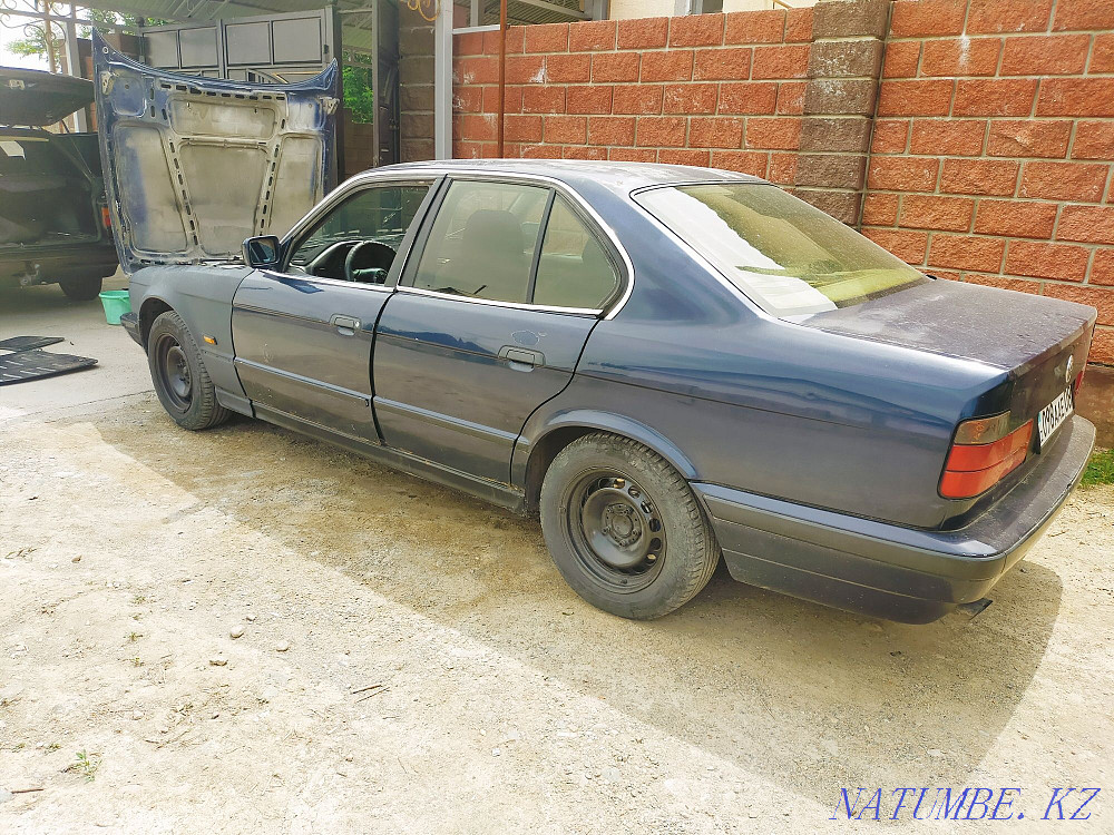    года Болтирик шешен - изображение 1