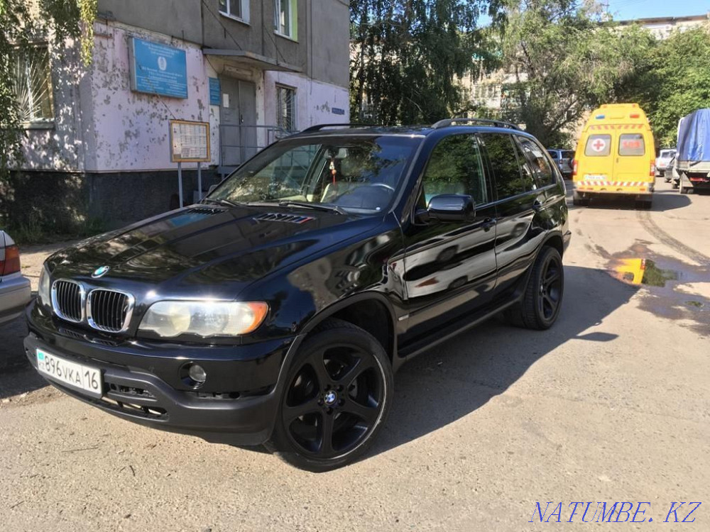    year Ridder - photo 1