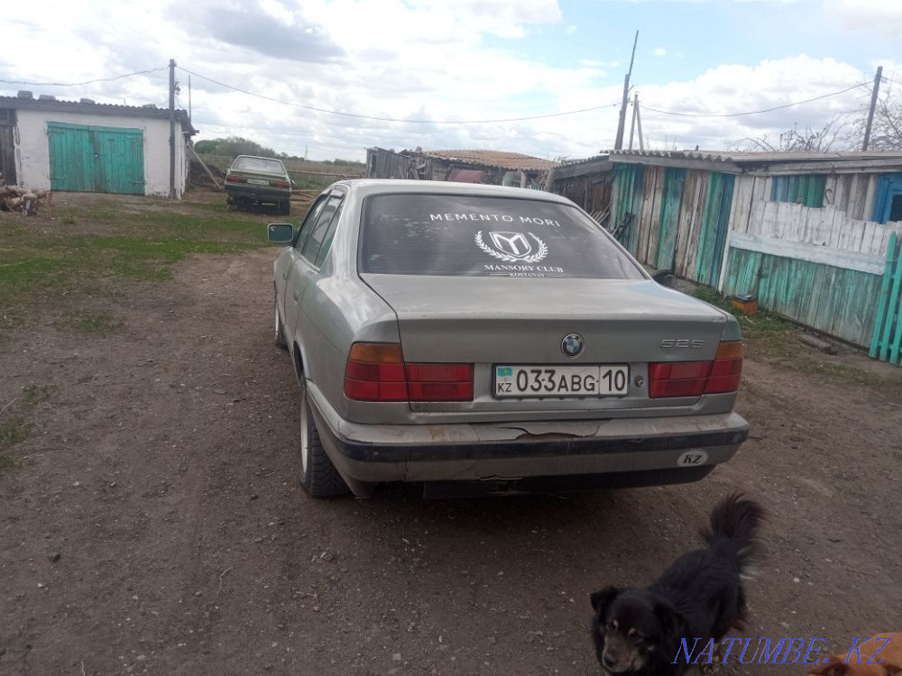    года Танабаевское - изображение 4