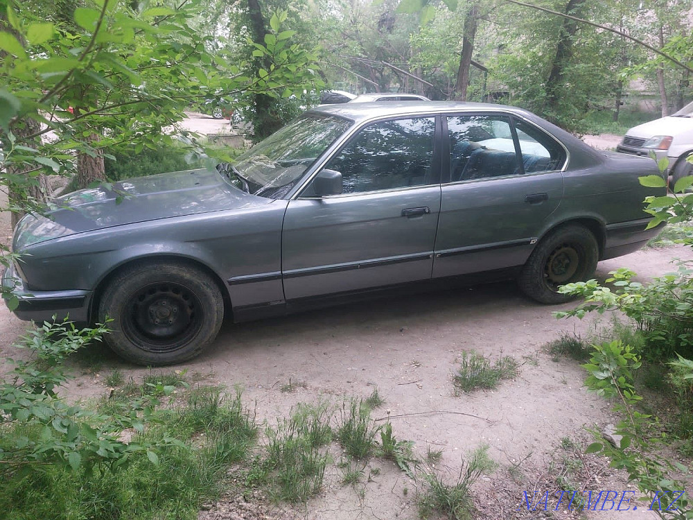    year Taraz - photo 6