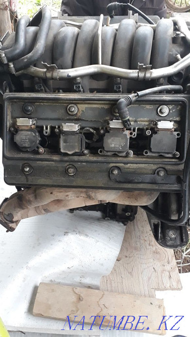    year Almaty - photo 4