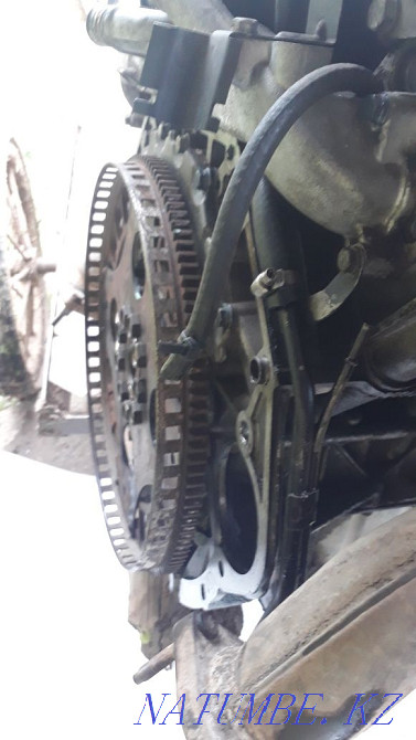    year Almaty - photo 5