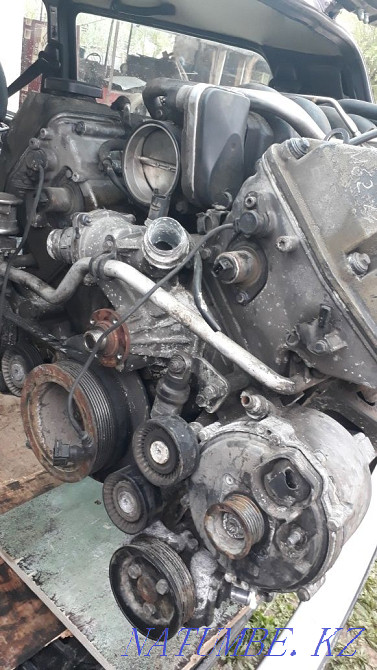    year Almaty - photo 6