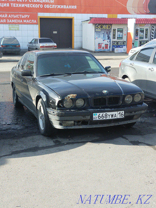    жыл  отбасы  - изображение 3