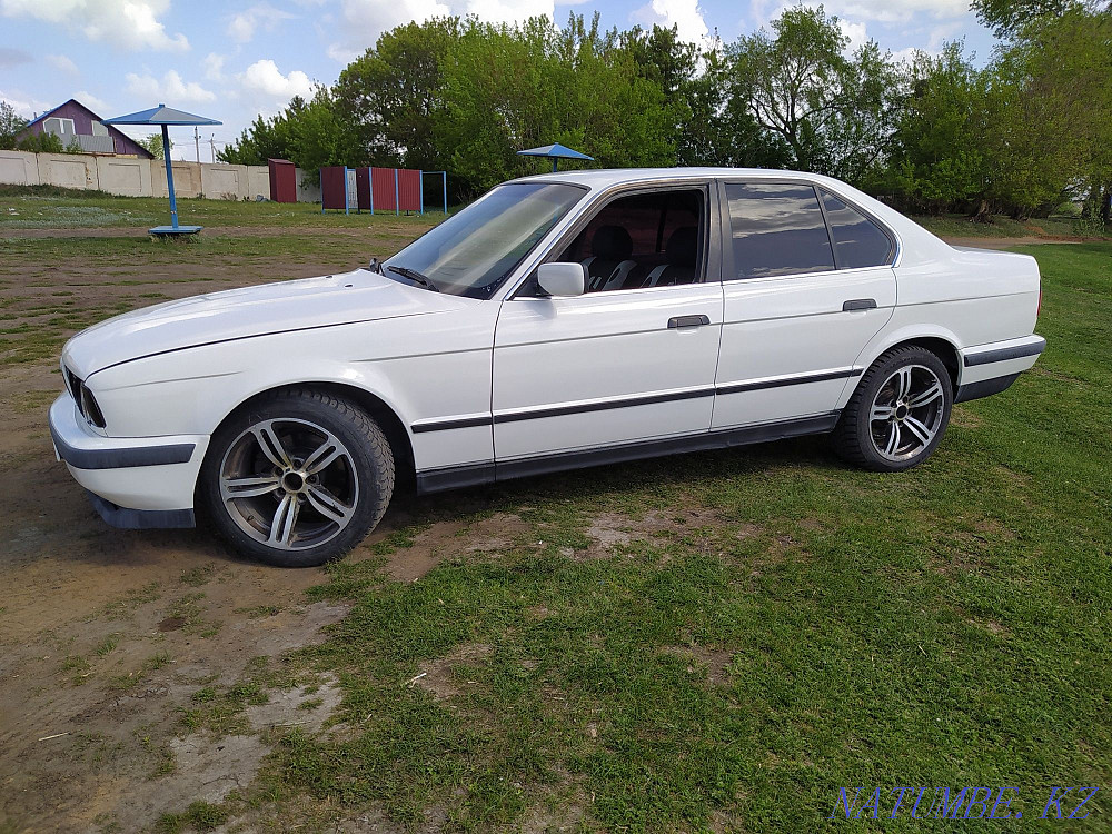    year Petropavlovsk - photo 3