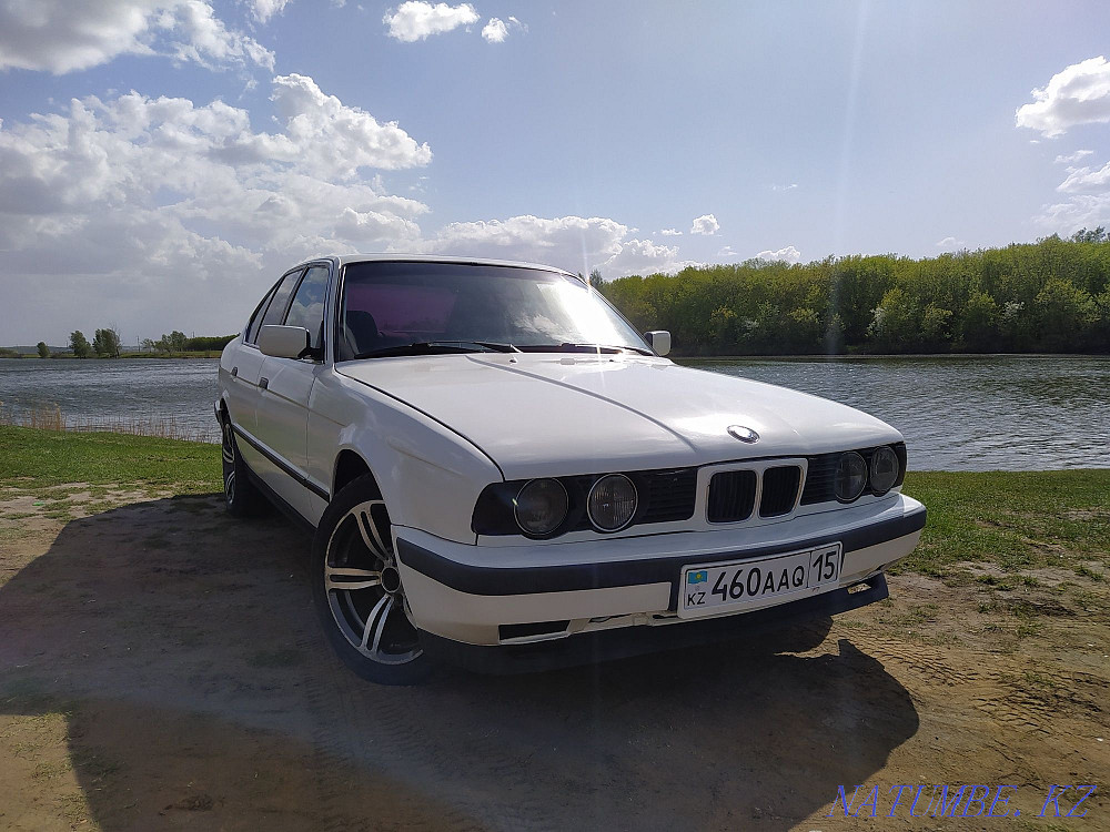    year Petropavlovsk - photo 1