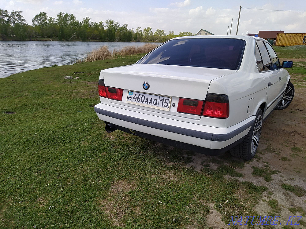    year Petropavlovsk - photo 4