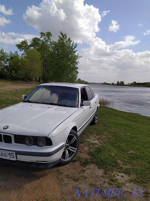    year Petropavlovsk - photo 2