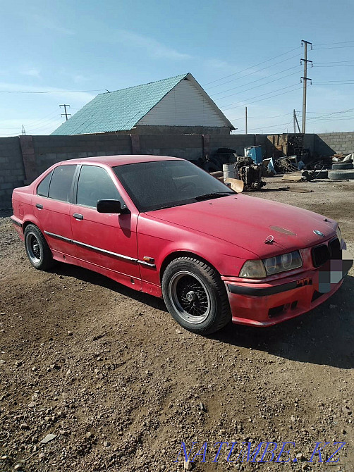    year Balqash - photo 3