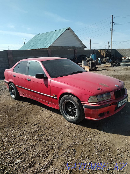    year Balqash - photo 6