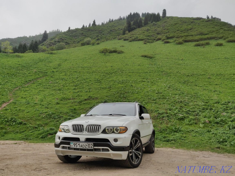    year Almaty - photo 1