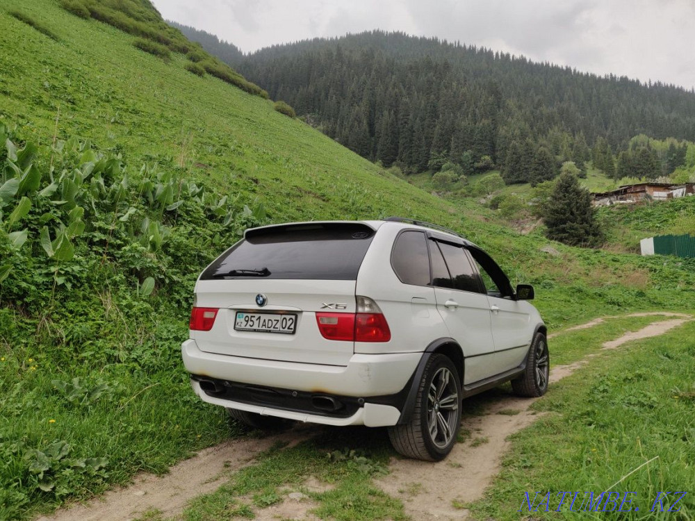    year Almaty - photo 2