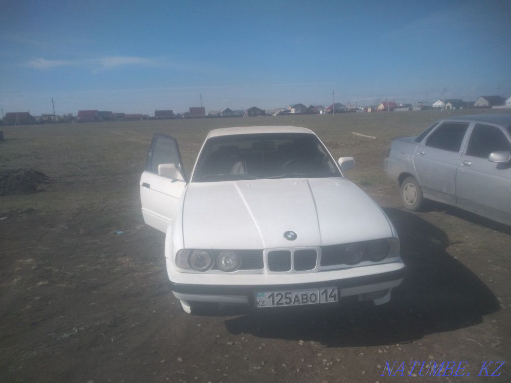    года Красный яр - изображение 4