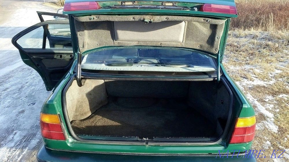    year Petropavlovsk - photo 7