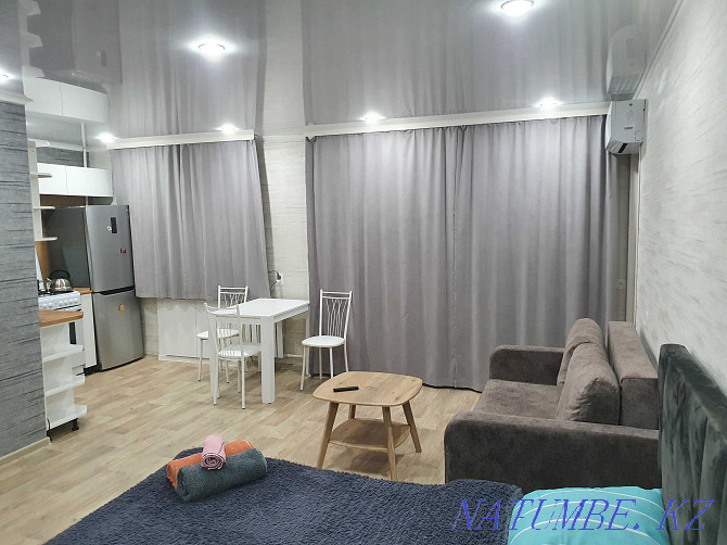  apartment with hourly payment Rudnyy - photo 16