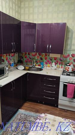  apartment with hourly payment Taraz - photo 11