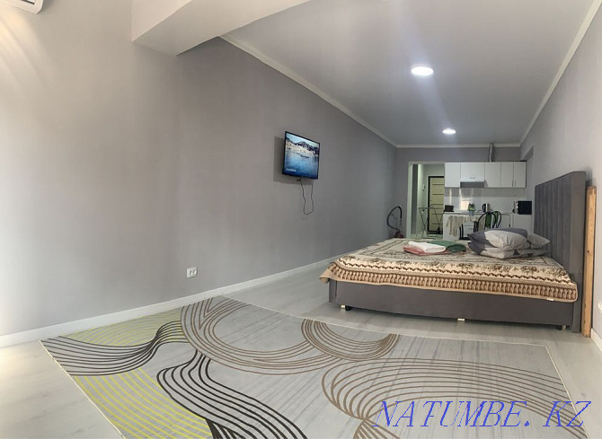  apartment with hourly payment Almaty - photo 8