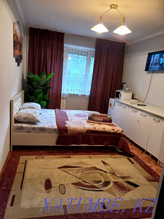  apartment with hourly payment Almaty - photo 10