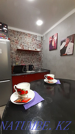  apartment with hourly payment Pavlodar - photo 10