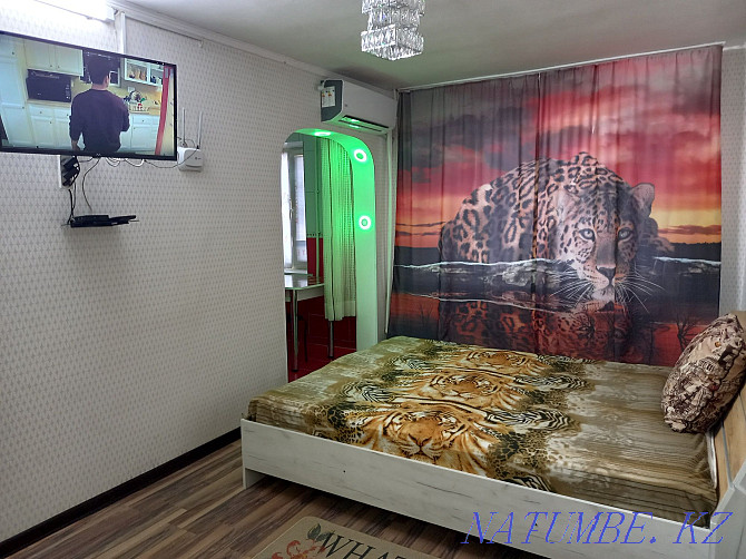  квартиру с почасовой оплатой Кызылорда - изображение 19