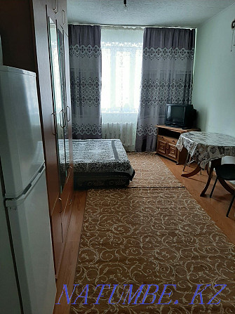  квартиру с почасовой оплатой Астана - изображение 7
