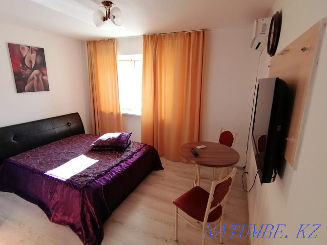  apartment with hourly payment Astana - photo 3