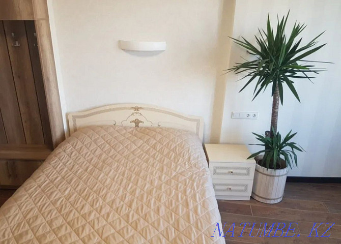  apartment with hourly payment Astana - photo 2