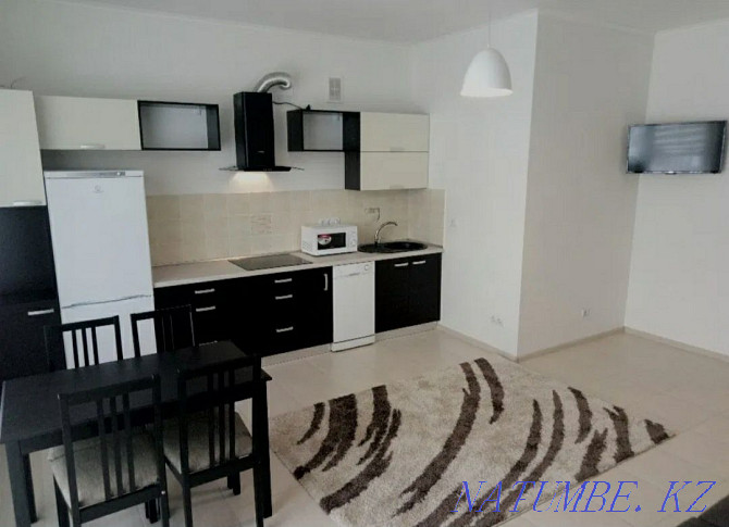  apartment with hourly payment Astana - photo 3