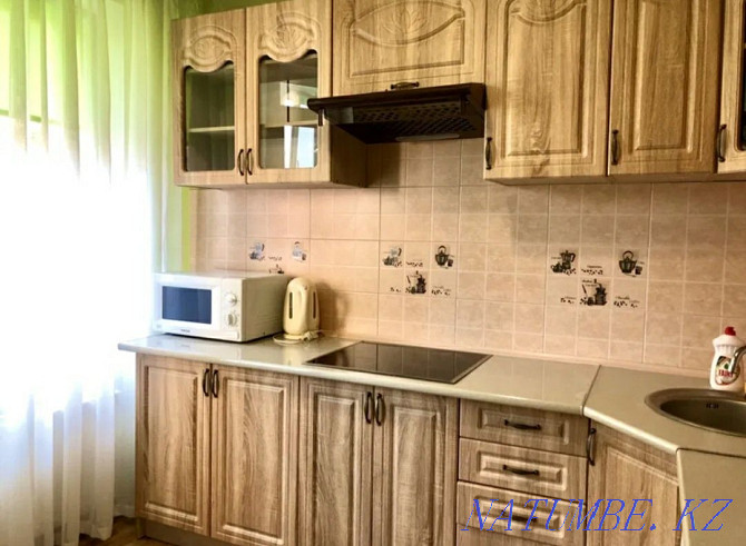  apartment with hourly payment Astana - photo 3