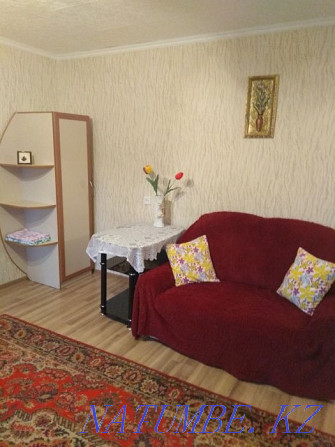  apartment with hourly payment Pavlodar - photo 6